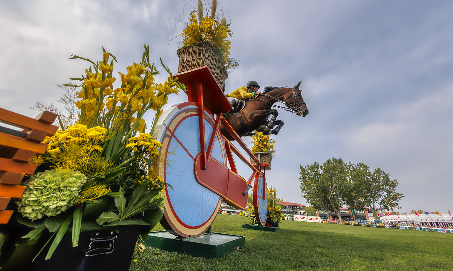 Juri - Spruce Meadows