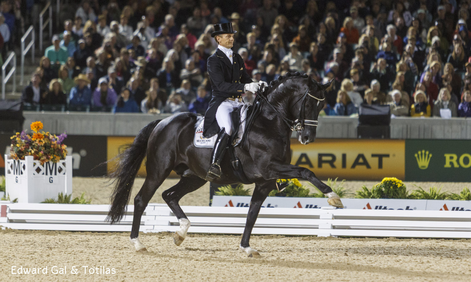 Edward Gal & Totilas - WEG 2010